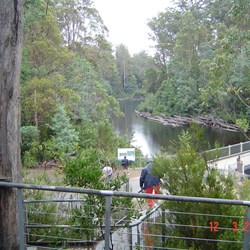View of Bridge over Huon River from Airwalk Visitors Centre