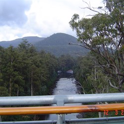 View from end of Caterlever of river and forest