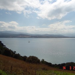 One section of the view from the loop road through Killora