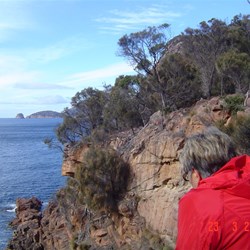 View toward the South of Sleepy Bay