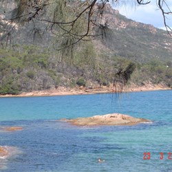 Brave soul in swimming at Honeymoon Bay