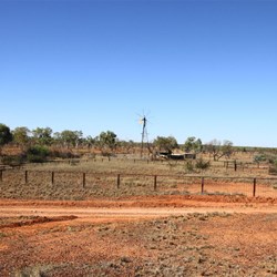 Old Homestead Tank and yards