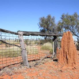 Kilangkarra stock yard - Billiluna Pool
