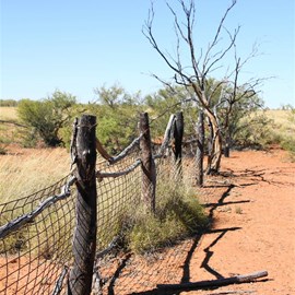 Kilangkarra Stockyard