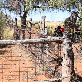 Kilangkarra Stockyard