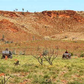 Getting close to Mount Wilson