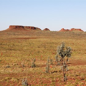 View from the north-east slopes of Mt Wilson