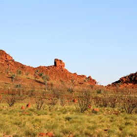 A knob at the southern end of Mt Wilson
