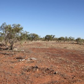 The remains of Bronco Yard
