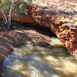 Carnegie's lost Waterhole