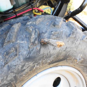 One of the many encounters with the treacherous plant life