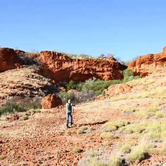 Heading into a shallow gorge (Now dubbed Owl Gorge)