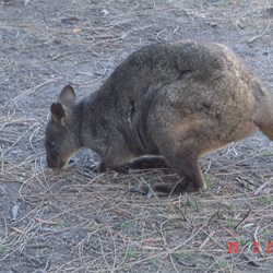 One of the second visitors for the day