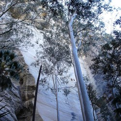 Exterior Ampitheatre