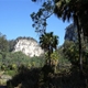 Walking Carnarvon Gorge