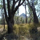 Mount Moffatt