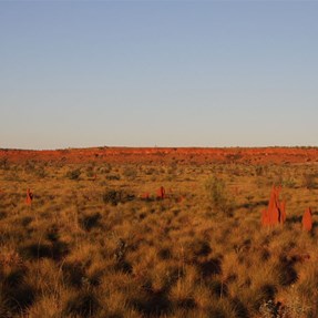 Heading to the sheer rock walls of the range