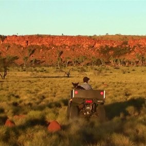 Al closing in late in the afternoon