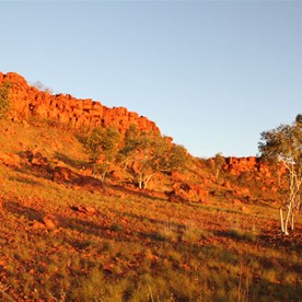 A blood red afternoon