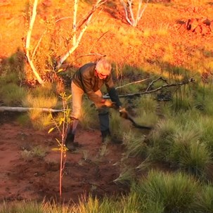 Jaydub clearing spinifex for the camp