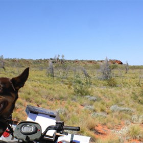 Massie riding with Gordon Hills ahead of us - What a dog! (Alan having a snooze in the pillion seat ;-)