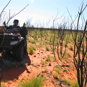 Jaydub...well he doesn't even look worried - Just glad to be out here!