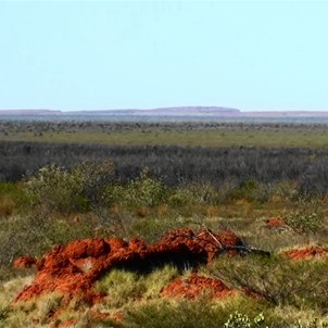 Mount Hughes 20 kilometres distant