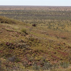 Exploring the Arid Range