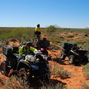 Surveying the country ahead