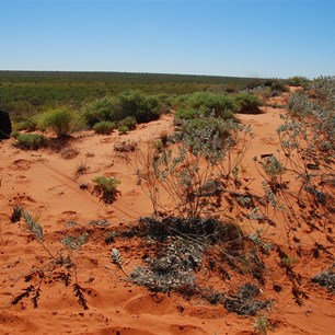 Using the winch to crest a dune