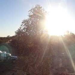 Late afternoon at Dovers Hills