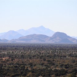 Blue Hills near Papunya