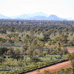 Looking back towards Papunya