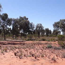 Jupiter well panorama by The Dingo