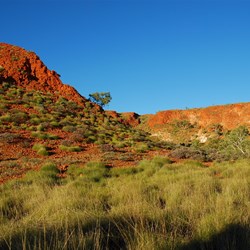 Winding through the green Broadhurst Ranges