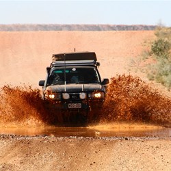 John and Suze ford the pool