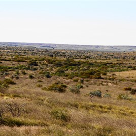 The view north to the Throssells