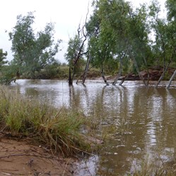 Looking back at the main pool - note the gums
