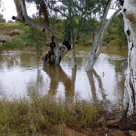 Main pool and flooded camping spot