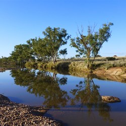 The creek 4 days after the deluge (dove returns to camp with olive branch)