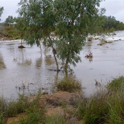 The waterhole becomes a torrent! - Whitewater rafting anyone?