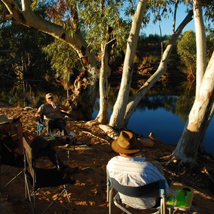 Horses-douvers by the pool