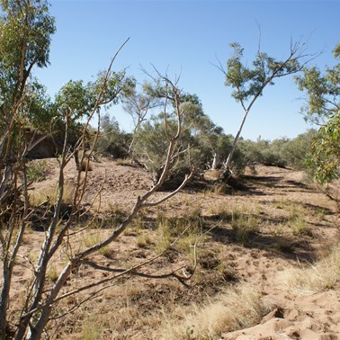 Kalkan Klakan Soak 2009