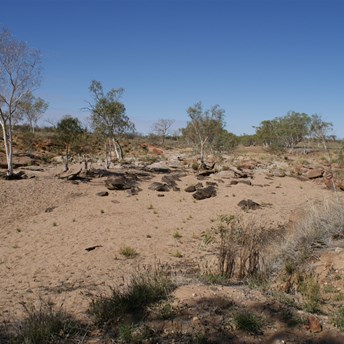 Looking east down the creek