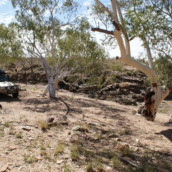 Tjarra Pool - Sandbar camp area