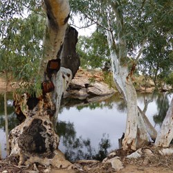 The main pool after the deluge