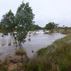 Looking east along the creek