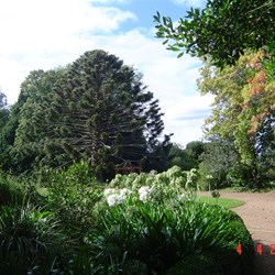 Gardens