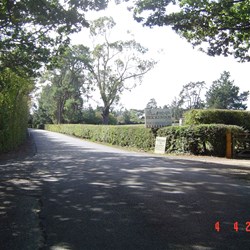 The main road between the homestead and the farm, very English