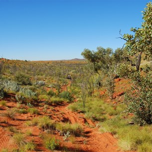 Where the dunes run up against the Stansmore Range